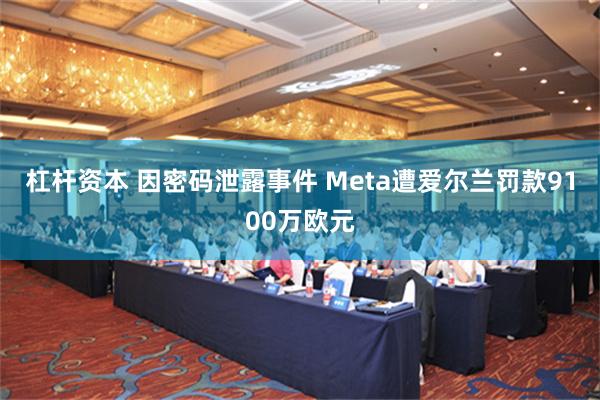 杠杆资本 因密码泄露事件 Meta遭爱尔兰罚款9100万欧元