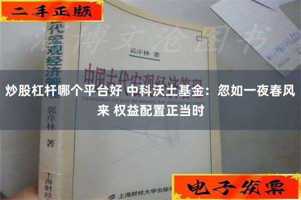 炒股杠杆哪个平台好 中科沃土基金：忽如一夜春风来 权益配置正当时