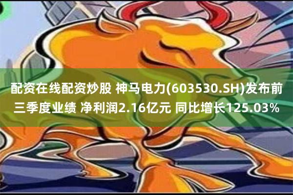 配资在线配资炒股 神马电力(603530.SH)发布前三季度业绩 净利润2.16亿元 同比增长125.03%