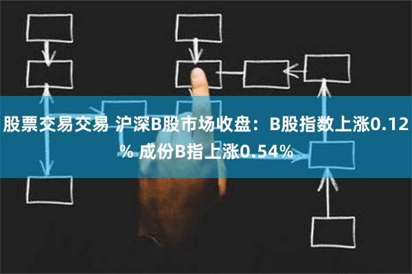 股票交易交易 沪深B股市场收盘：B股指数上涨0.12% 成份B指上涨0.54%