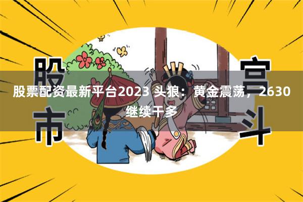 股票配资最新平台2023 头狼：黄金震荡，2630继续干多