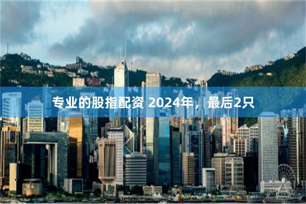 专业的股指配资 2024年，最后2只