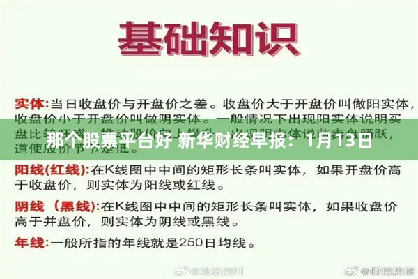 那个股票平台好 新华财经早报：1月13日