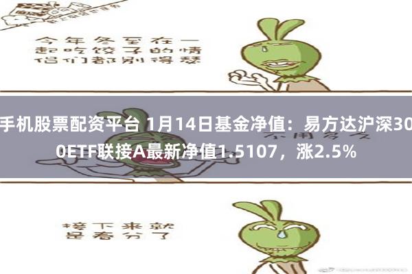 手机股票配资平台 1月14日基金净值：易方达沪深300ETF联接A最新净值1.5107，涨2.5%