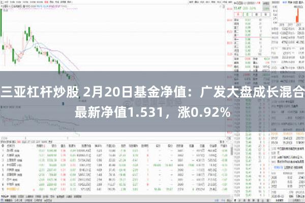 三亚杠杆炒股 2月20日基金净值：广发大盘成长混合最新净值1.531，涨0.92%